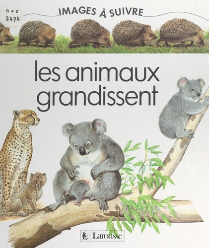 Catherine Bourges et Christine Coutaller - Les animaux grandissent.