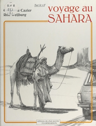 Voyage au Sahara