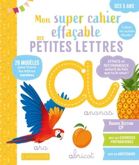 Mon super cahier effaçable des petites lettres