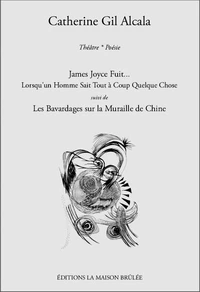 James Joyce fuit... Lorsqu'un homme sait tout à coup quelque chose