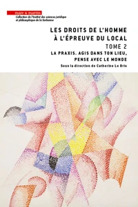 Les droits de l'homme à l'épreuve du local