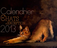 Calendrier des chats d'exception 2013