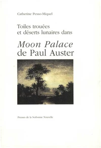 Toiles Trouees Te Deserts Lunaires Dans Moon Palace De Paul Auster
