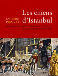 Les chiens d'Istanbul