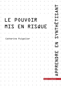 Catherine Puigelier - Apprendre en synthétisant - Tome 5, Le pouvoir mis en risque.