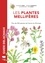 Les plantes mellifères. Plus de 200 plantes de France et d'Europe