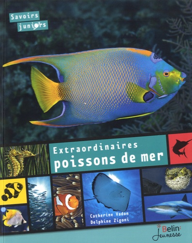 Catherine Vadon et Delphine Zigoni - Extraordinaires poissons de mer.