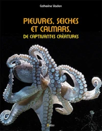 Pieuvres, seiches et calmars, de captivantes créatures
