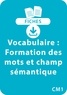 Catherine Vialles - RESSOURCES FIC  : Vocabulaire CM1 - Formation des mots et champ sémantique - Un lot de 8 fiches recto/verso à télécharger.