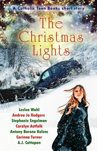 The Christmas Lights