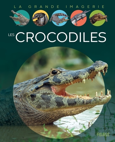 Cathy Franco et Benjamin Carré - Les crocodiles.