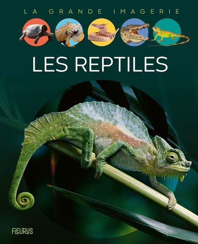 Cathy Franco - Les reptiles.