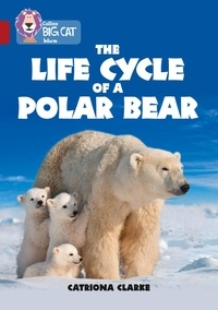 Catriona Clarke - The Life Cycle of a Polar Bear - Band 14/Ruby.