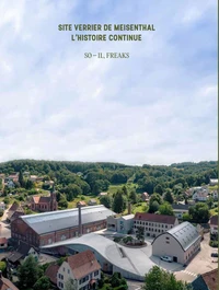 Site verrier de Meisenthal, l'histoire continue