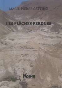 Les flèches perdues