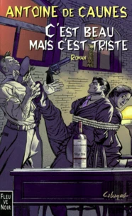 C'est beau mais c'est triste