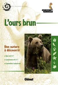 L'ours brun