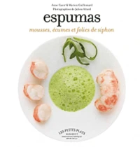 Espumas : mousses, écumes et folies de siphon