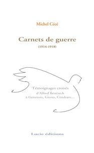 Les carnets de guerre d'Alfred Bénézech (1914-1918)