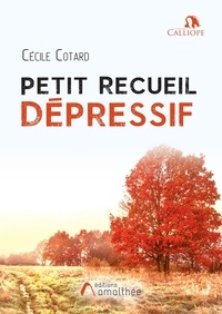 Téléchargement gratuit d'ebooks epub Petit recueil dépressif 