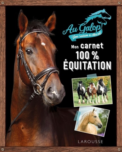 Lot Panini Chevaux mon club d'équitation: Un album vide et 50 pochettes scellées : Achat occasion | Cartes Panini Panini Très bon état Lot Panini Chevaux mon club d'équitation: Un album vide et 50 pochettes scellées : Achat occasion | Cartes Panini Panini Très bon état