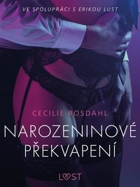 Cecilie Rosdahl et - Lust - Narozeninové překvapení - Erotická povídka.