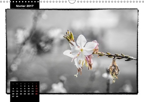 Espace floral (Calendrier mural 2017 DIN A3 horizontal). Vision personnelle sur les fleurs (Calendrier mensuel, 14 Pages )