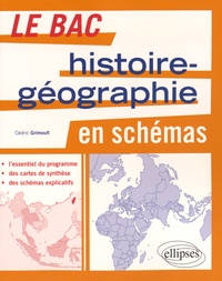 Cédric Grimoult - Le bac Histoire-Géographie en schémas.