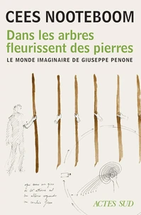 Dans les arbres fleurissent des pierres