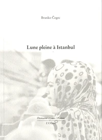Lune pleine à Istanbul