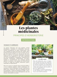 Céleste Gustin - Les plantes aromatiques - Principes d'herboristerie.