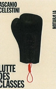 Lutte des classes