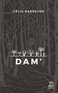 Dam'