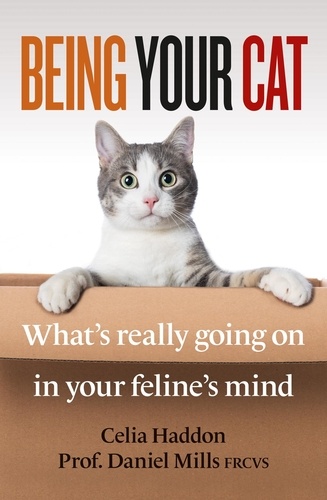 Being Your Cat. What's really going on in your feline's mind