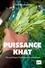 Puissance khat. La vie politique d'une plante stimulante