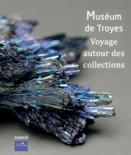 Musée de Troyes. Voyage autour des collections