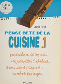Céline Vence et François Brunet - La cuisine (1).