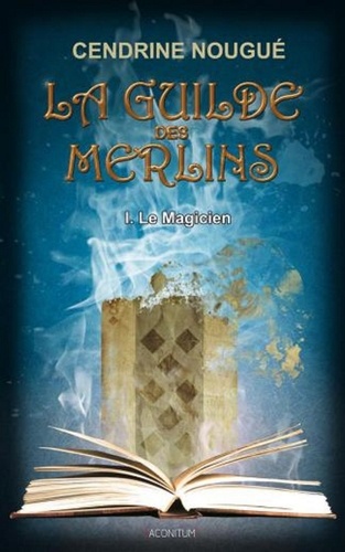 La guilde des Merlins Tome 1 Le Magicien