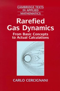 Rarefied Gas Dynamics. From Basic Concepts To Actual Calculations