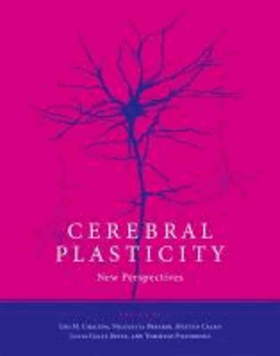Cerebral Plasticity - New Perspectives.