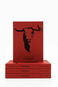 Claude Viallat-Bulls EN