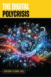 The Digital Polycrisis
