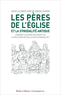 Les Pères de l'Eglise et la synodalité antique