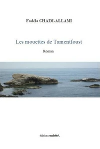 Les mouettes de tamentfoust