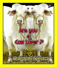  chakrapani srinivasa - Are you a Cow Lover?.