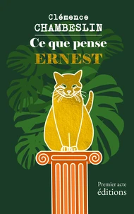 Ce que pense Ernest