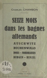 Seize mois dans les bagnes allemands