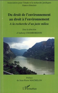 Du droit de l'environnement au droit à l'environnement