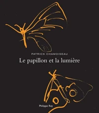 Le papillon et la lumière