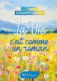 La vie c'est comme un roman